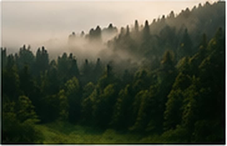 Warme Naturfarben als ruhiger Hintergrund